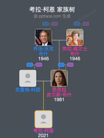 考拉·柯恩家族树全览