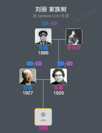 刘丽 家族树全览