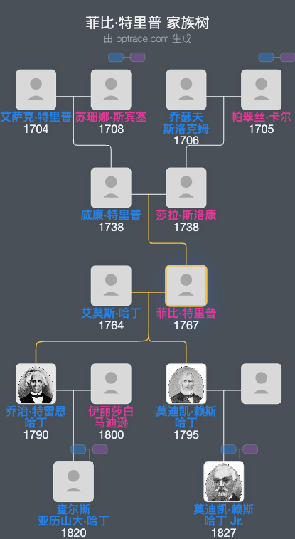 菲比·特里普家族树全览