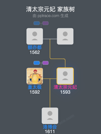 清太宗元妃家族树全览