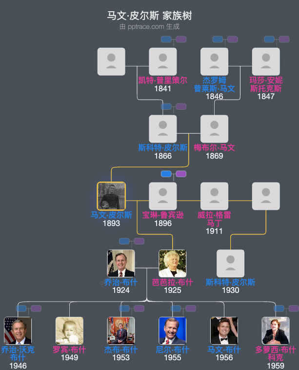 马文·皮尔斯家族树全览