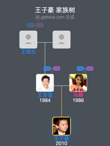 王子豪 家族树全览