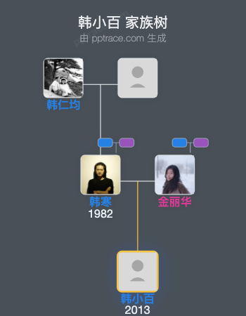 韩小百家族树全览