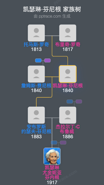 凯瑟琳·芬尼根家族树全览