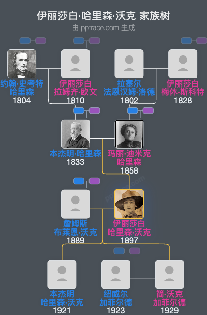 伊丽莎白·哈里森·沃克家族树全览