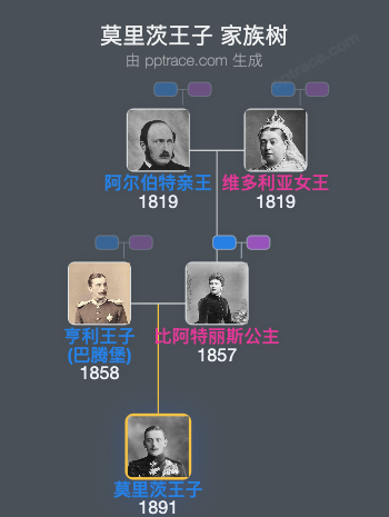 莫里茨王子家族树全览