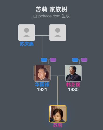 苏莉 家族树全览