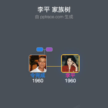 李平 家族树全览