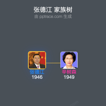 张德江 家族树全览