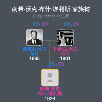 南希·沃克·布什·埃利斯 家族树全览