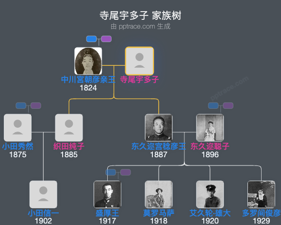 寺尾宇多子家族树全览