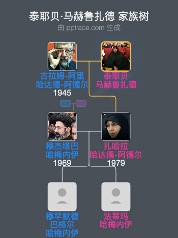 泰耶贝·马赫鲁扎德家族树全览