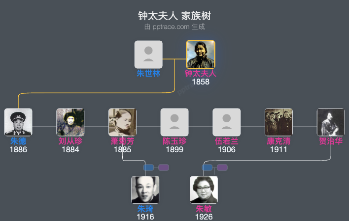 钟太夫人 家族树全览