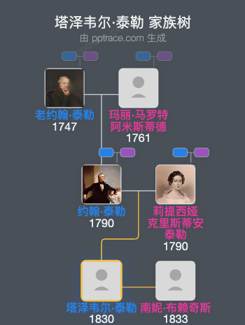 塔泽韦尔·泰勒家族树全览