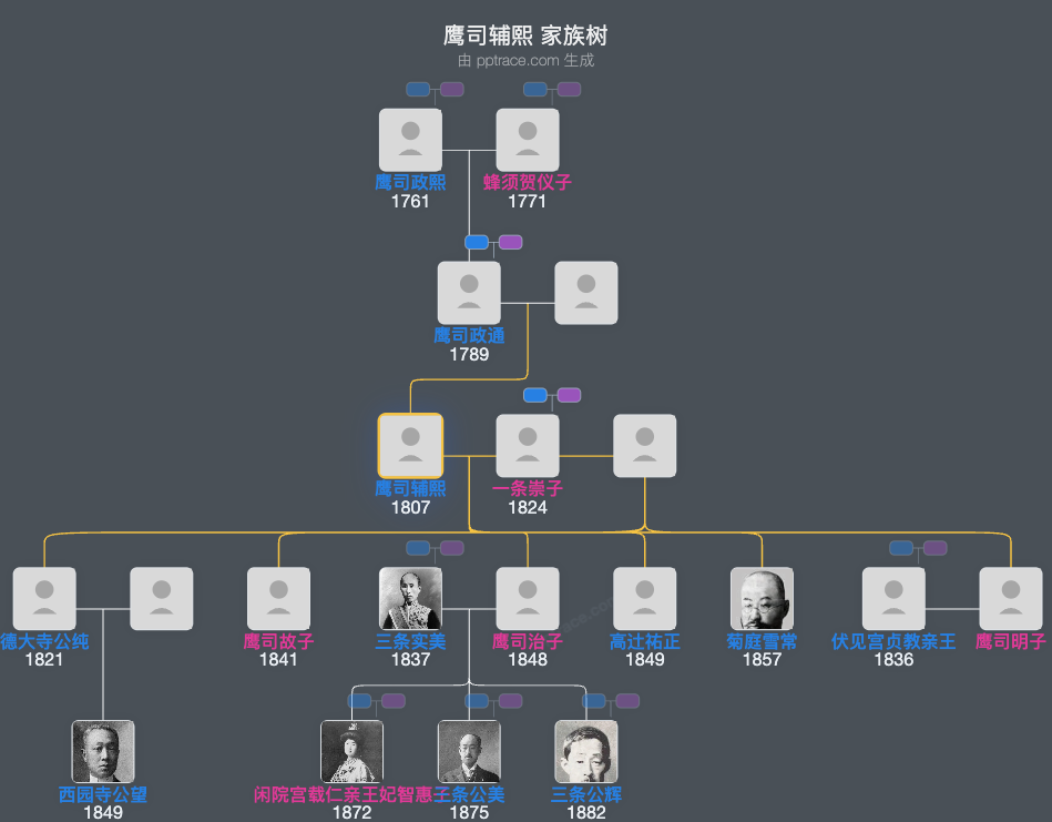 鹰司辅熙家族树全览