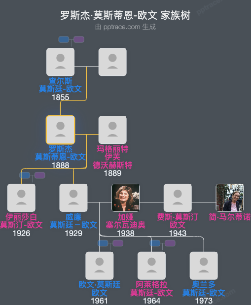 罗斯杰·莫斯蒂恩-欧文家族树全览