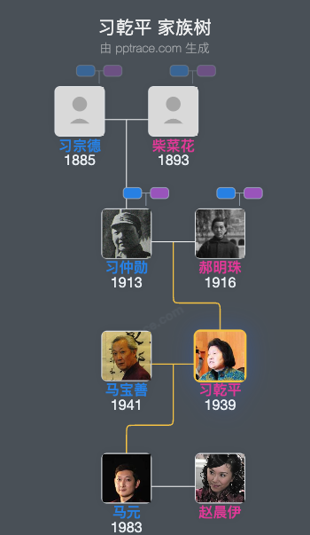 习乾平 家族树全览