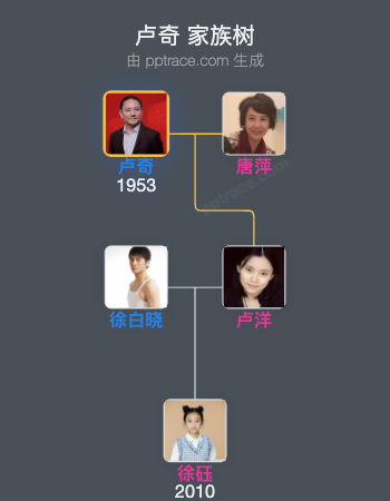 卢奇 家族树全览