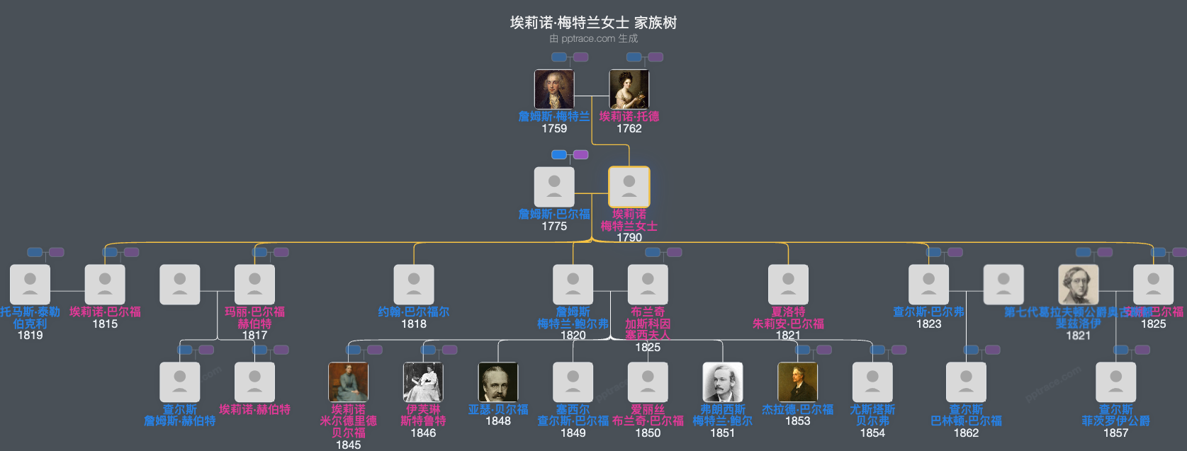 埃莉诺·梅特兰女士家族树全览