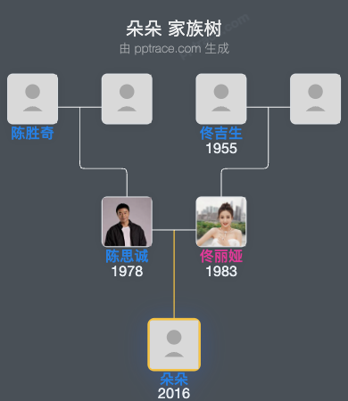 朵朵 家族树全览