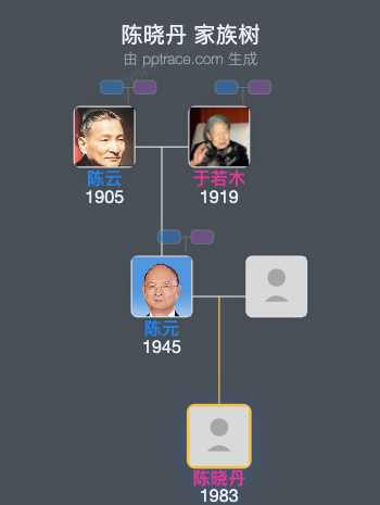 陈晓丹 家族树全览