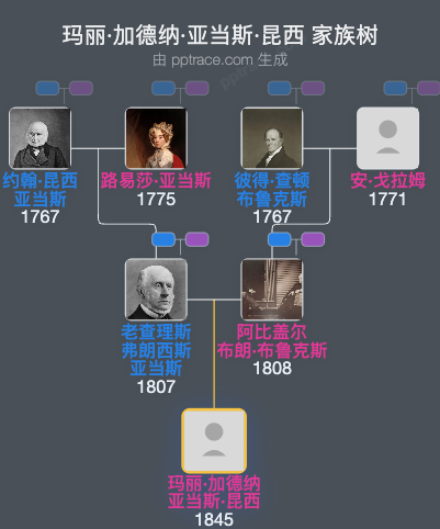玛丽·加德纳·亚当斯·昆西家族树全览