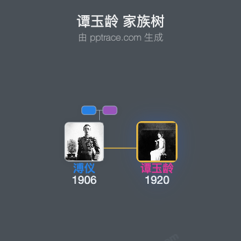 谭玉龄家族树全览
