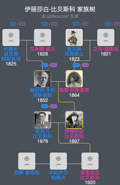伊丽莎白·比贝斯科家族树全览