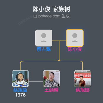 陈小俊家族树全览