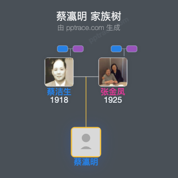 蔡瀛明家族树全览