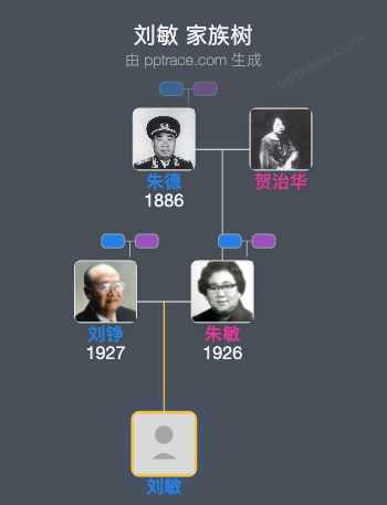 刘敏 家族树全览