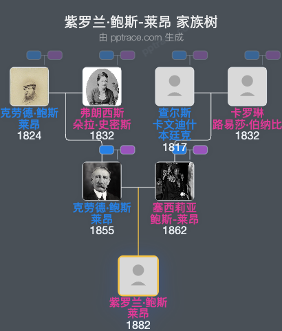 紫罗兰·鲍斯-莱昂家族树全览