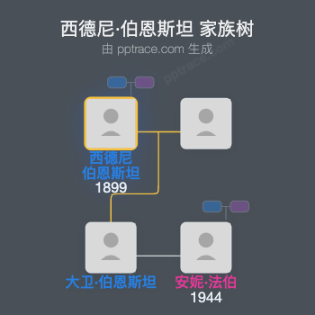 西德尼·伯恩斯坦，巴伦·伯恩斯坦家族树全览