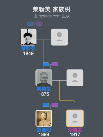 荣辑芙 家族树全览