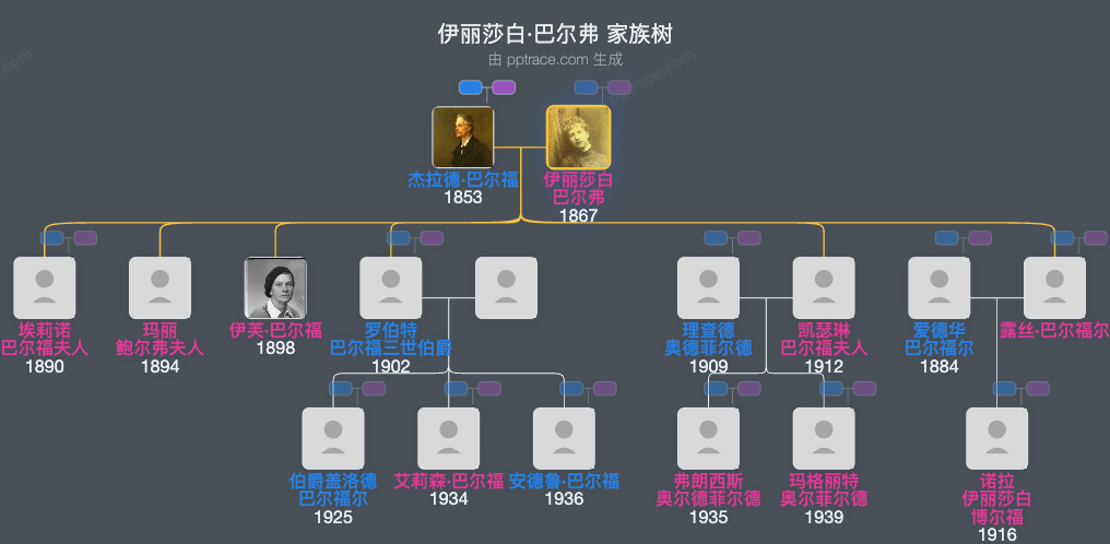 伊丽莎白·巴尔弗家族树全览
