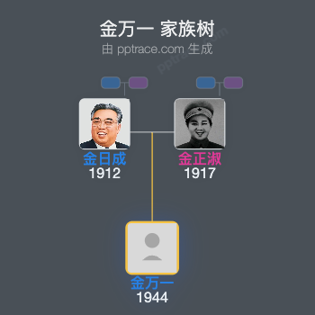 金万一 家族树全览