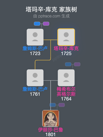 塔玛辛·库克家族树全览