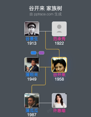 谷开来 家族树全览