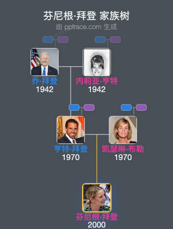 芬尼根·拜登家族树全览
