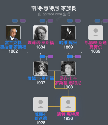 凯特·惠特尼家族树全览