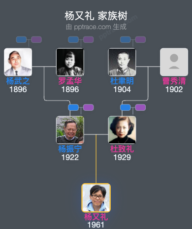 杨又礼家族树全览