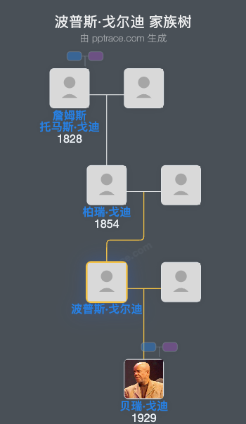 波普斯·戈尔迪家族树全览
