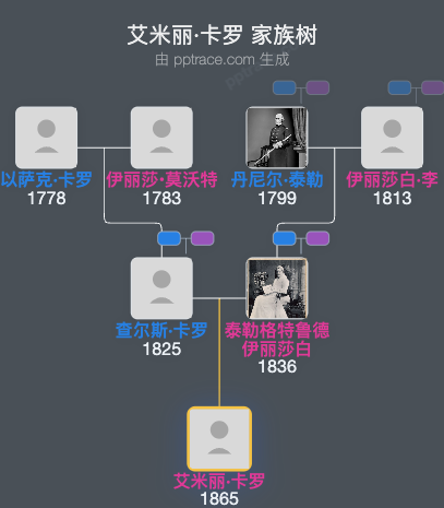 艾米丽·卡罗家族树全览