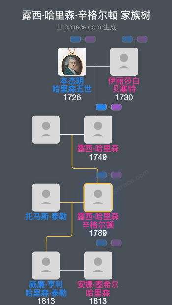 露西·哈里森·辛格尔顿家族树全览