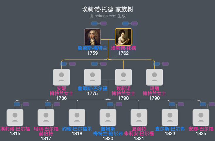 埃莉诺·托德家族树全览