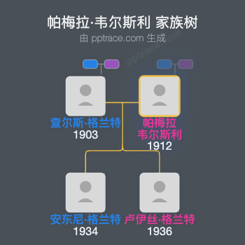 帕梅拉·韦尔斯利家族树全览