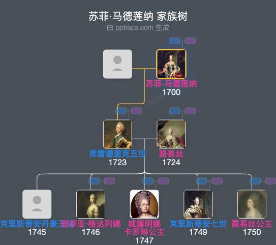 苏菲·马德莲纳家族树全览