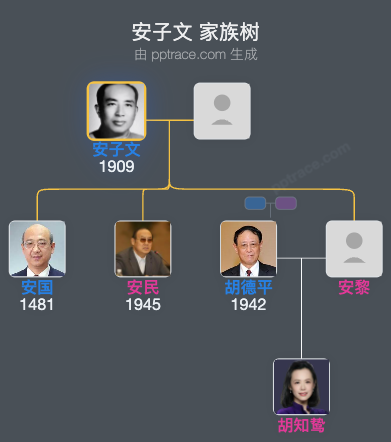 安子文 家族树全览