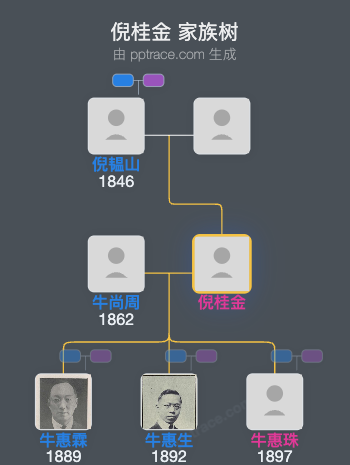 倪桂金 家族树全览