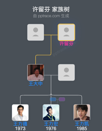 许留芬 家族树全览
